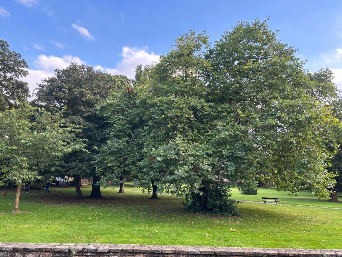 Park View Is A Beautiful Whole Entire House Close To Town Centre, Sleeps 8 In 4 Rooms, 2 Doubles And 4 Single Beds With 2 Shower Rooms, Available For Holidays, Insurance Stays, Trades People, Contractors, Pets Welcome Wisbech Exterior photo